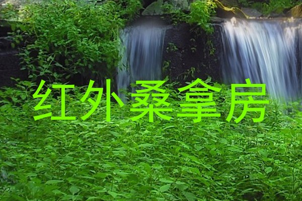 红外桑拿房