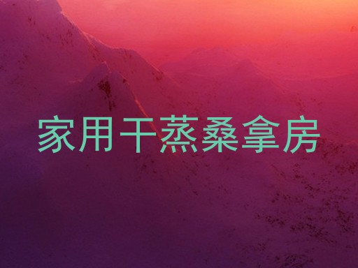 家用干蒸桑拿房