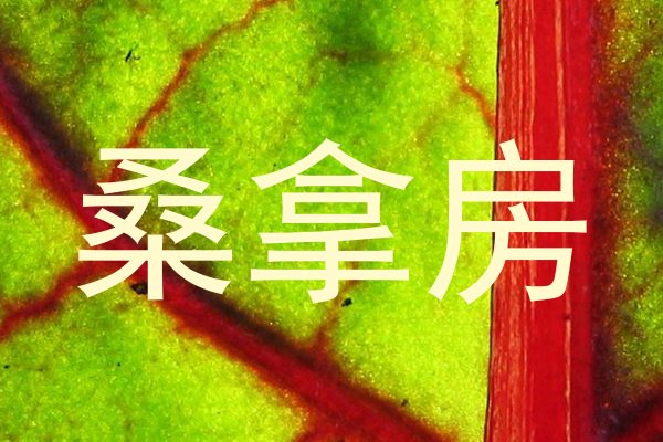 桑拿房