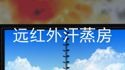 远红外汗蒸房