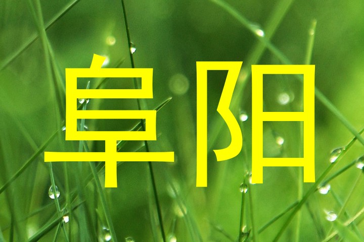 阜阳