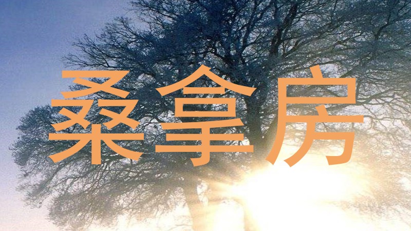 桑拿房