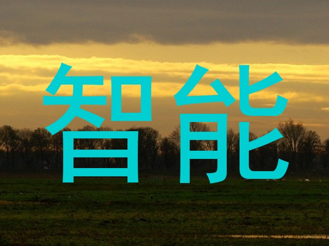 智能