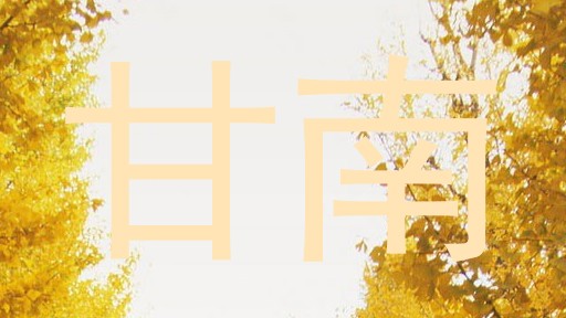 甘南
