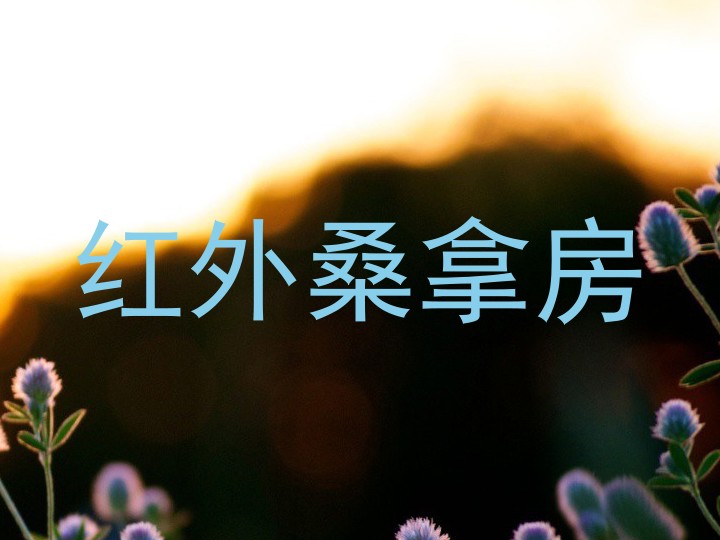 红外桑拿房