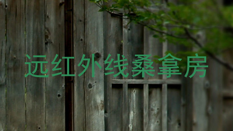 远红外线桑拿房