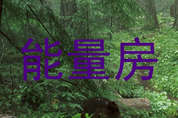 能量房