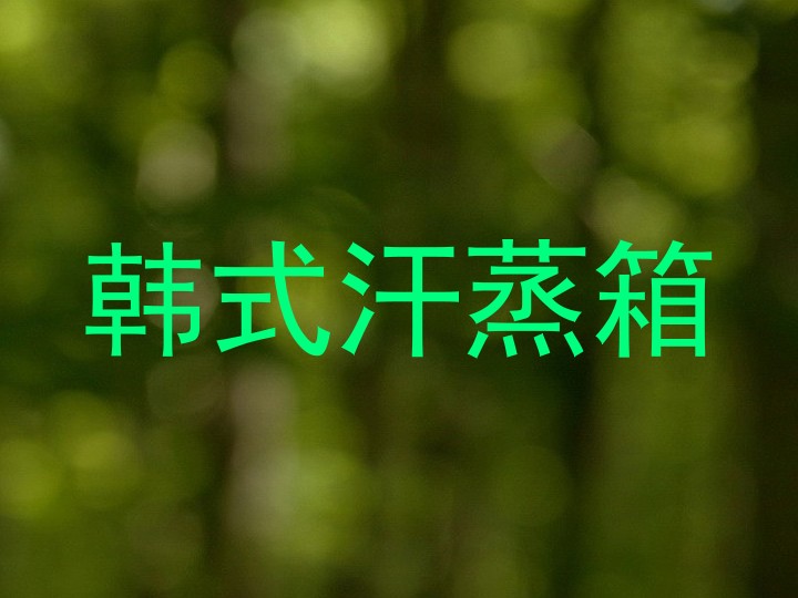 韩式汗蒸箱