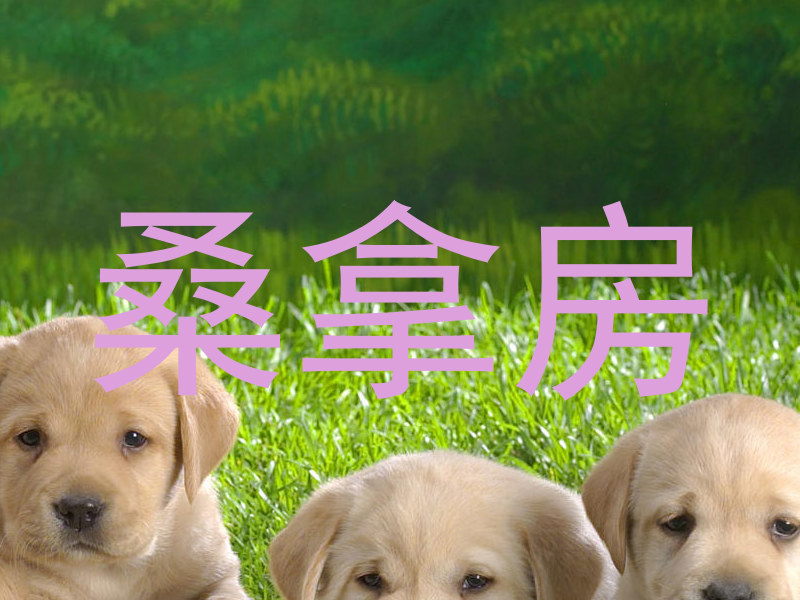 桑拿房