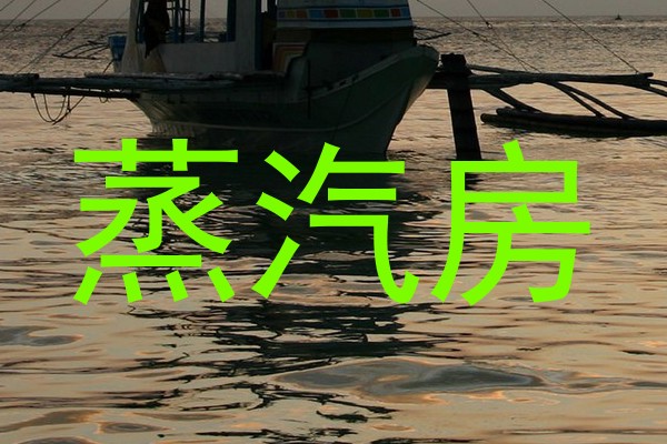 蒸汽房