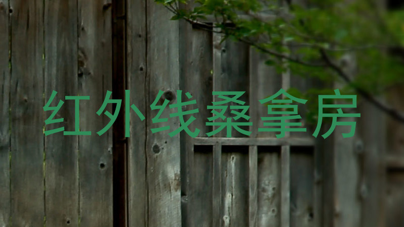 红外线桑拿房
