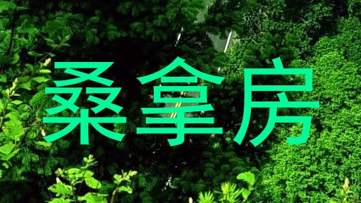 桑拿房
