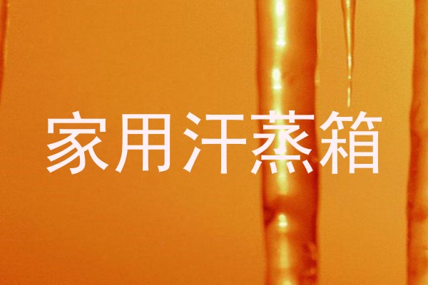 家用汗蒸箱