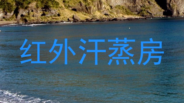 红外汗蒸房