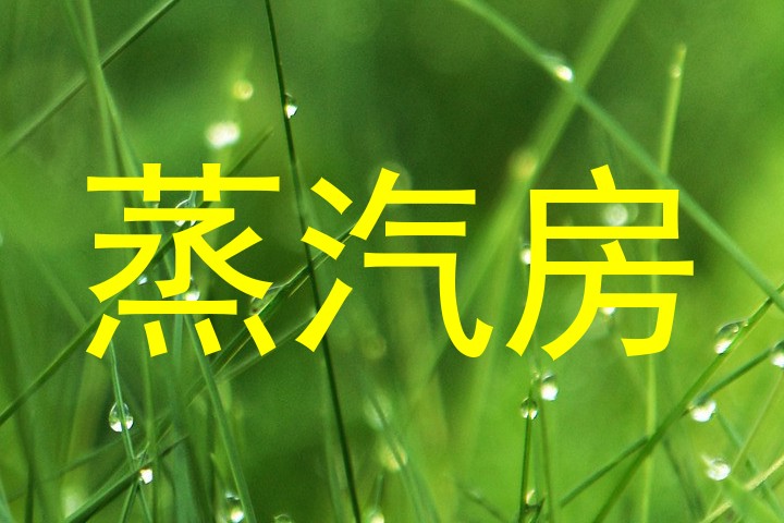 蒸汽房