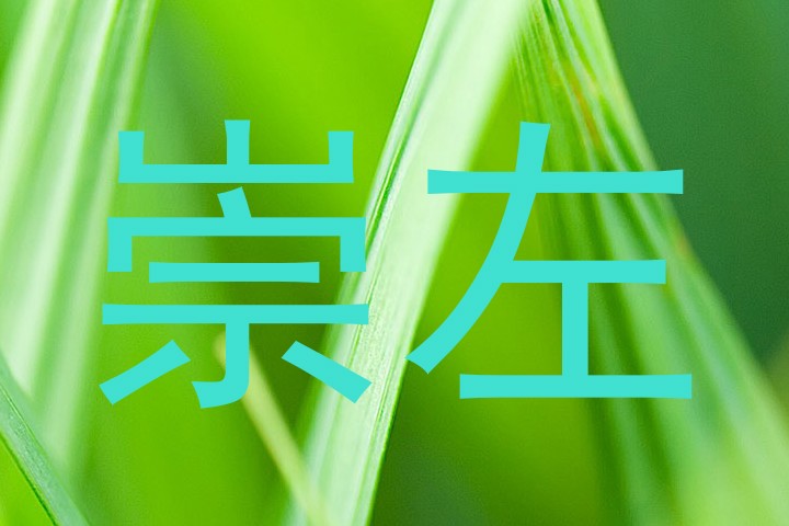 崇左