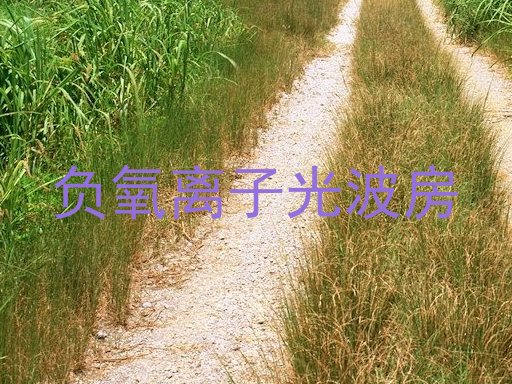 负氧离子光波房