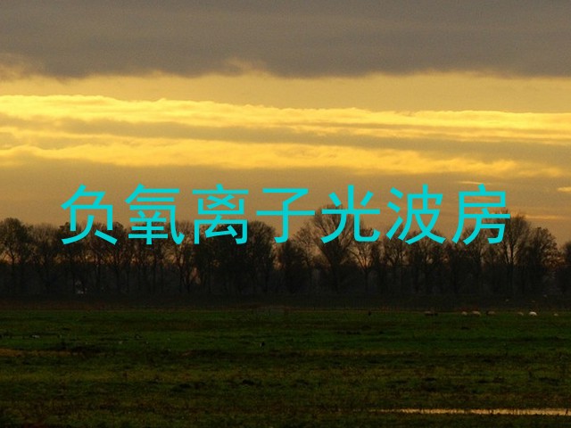 负氧离子光波房