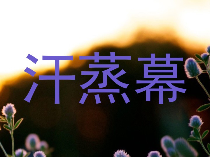 汗蒸幕