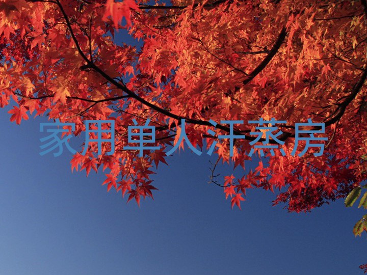 家用单人汗蒸房