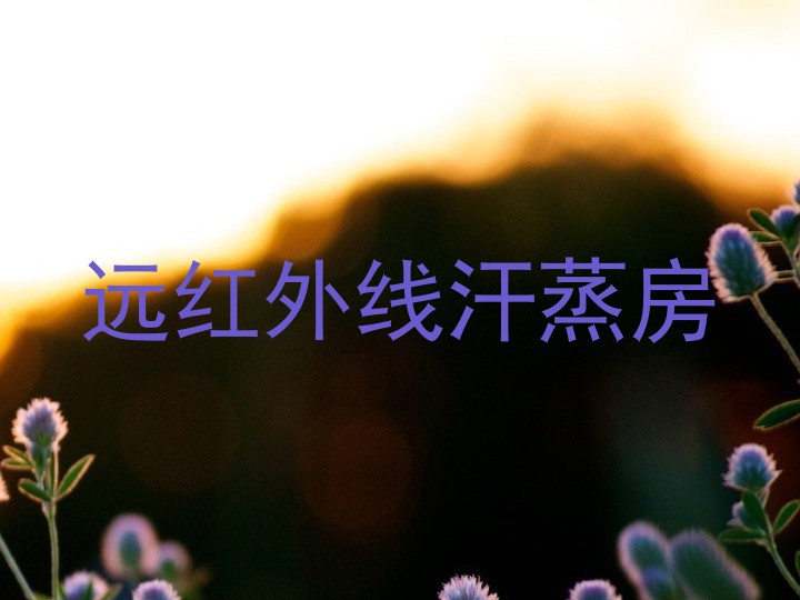 远红外线汗蒸房