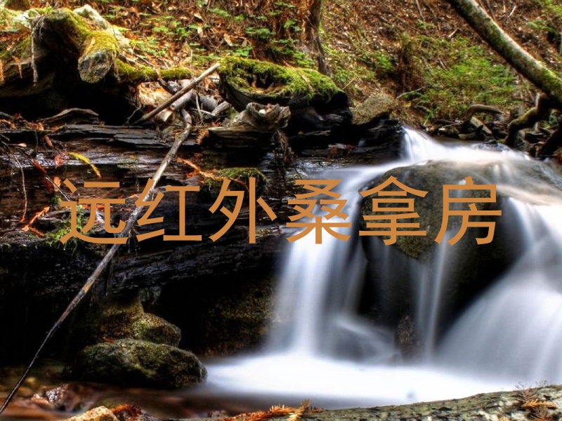 远红外桑拿房