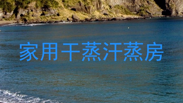 家用干蒸汗蒸房
