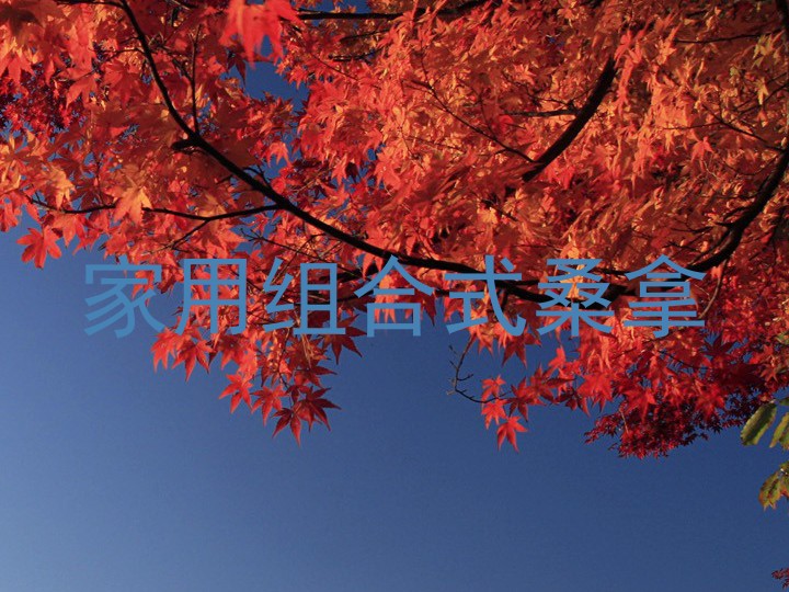 家用组合式桑拿