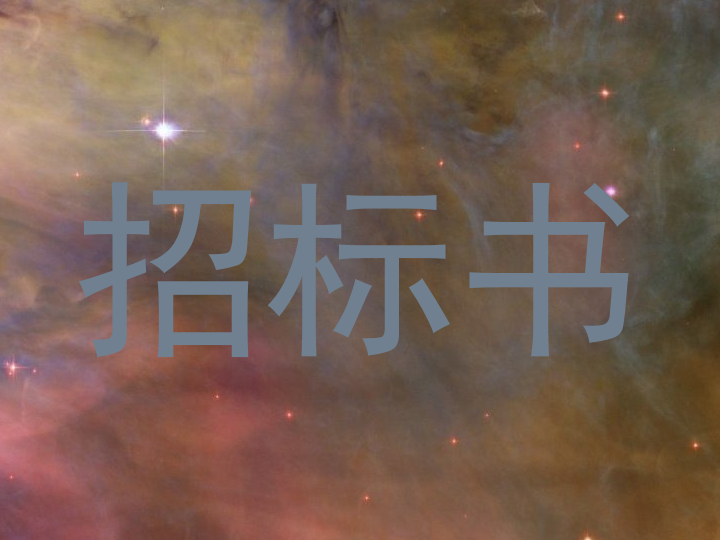 招标书