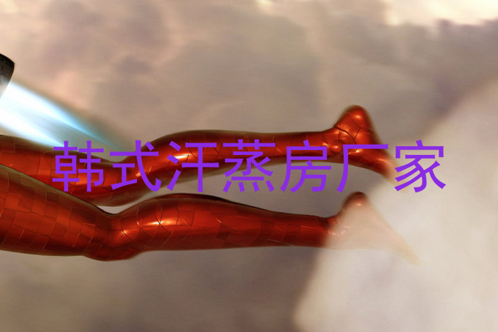 韩式汗蒸房厂家