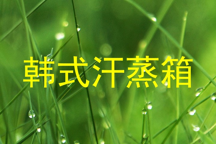 韩式汗蒸箱