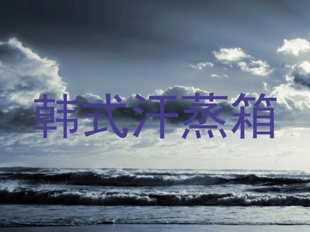 韩式汗蒸箱