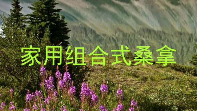 家用组合式桑拿