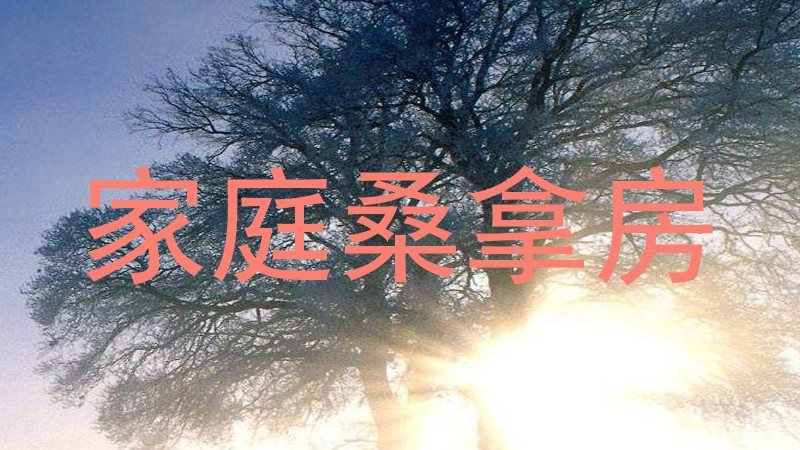 家庭桑拿房