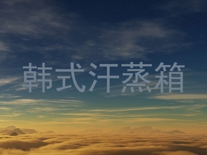 韩式汗蒸箱