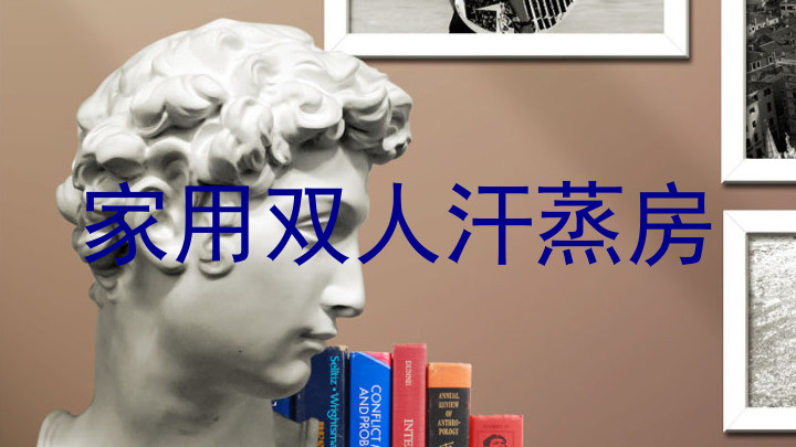 家用双人汗蒸房