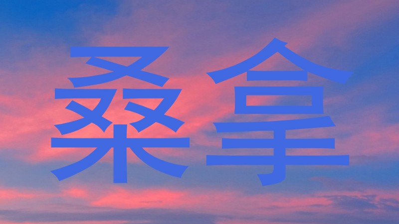 桑拿