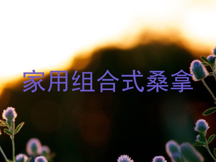 家用组合式桑拿
