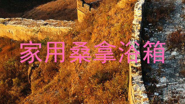 家用桑拿浴箱