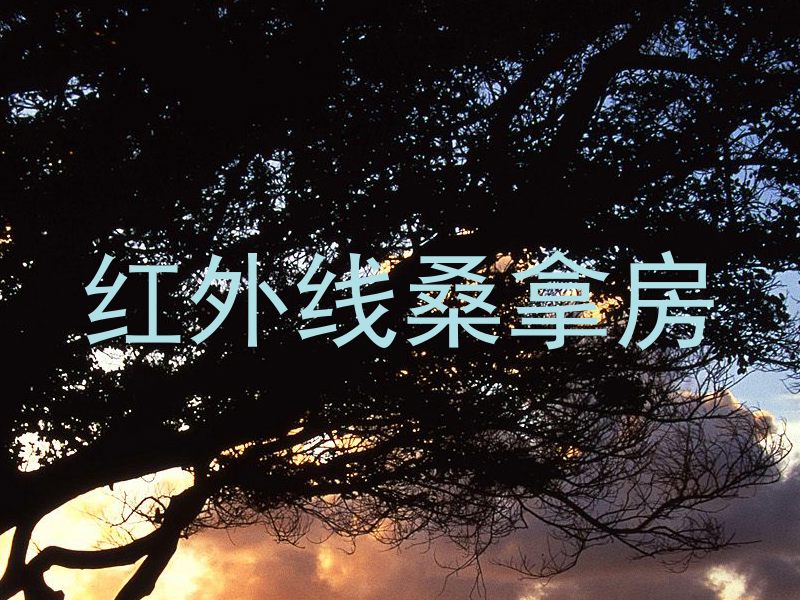红外线桑拿房