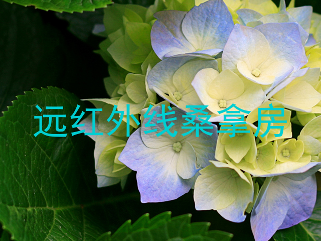 远红外线桑拿房