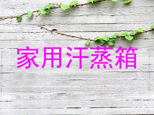 家用汗蒸箱
