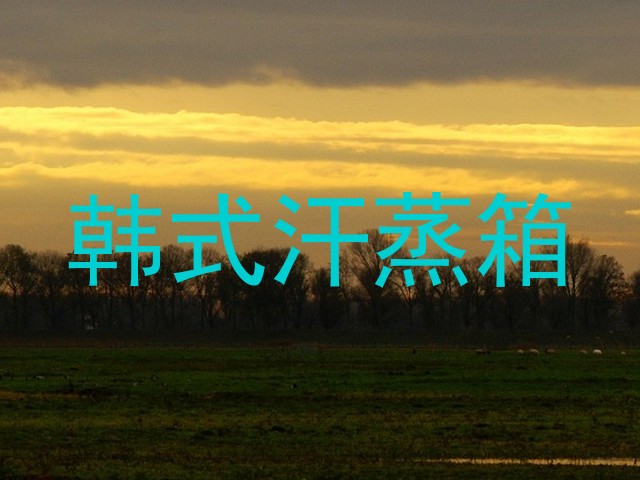 韩式汗蒸箱