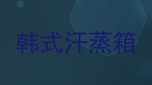 韩式汗蒸箱