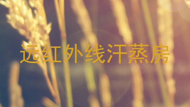 远红外线汗蒸房