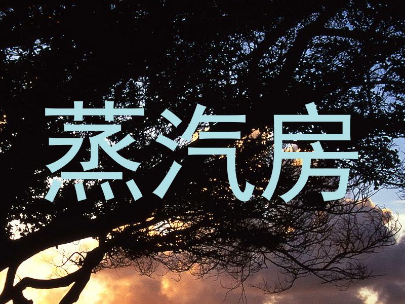 蒸汽房