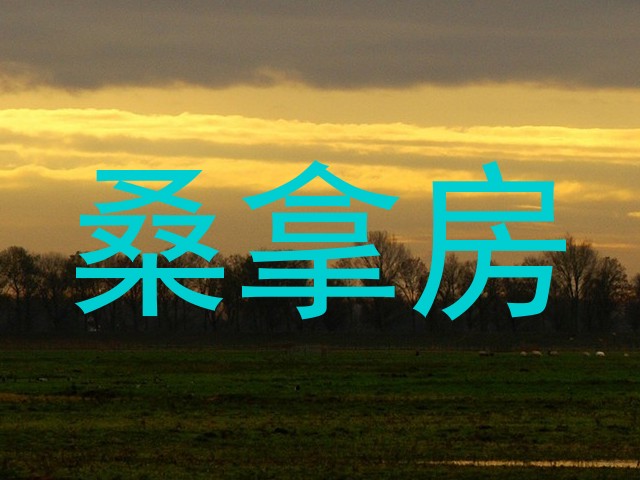 桑拿房