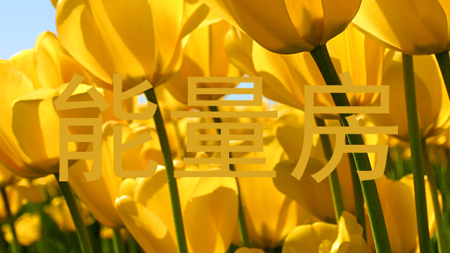 能量房