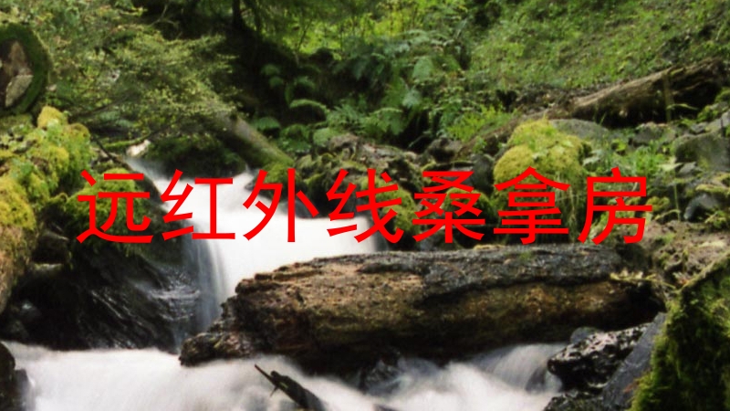 远红外线桑拿房