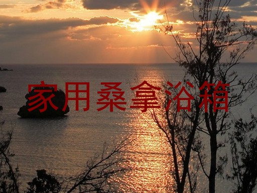 家用桑拿浴箱